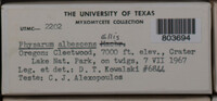 Image Associated With the Occurence